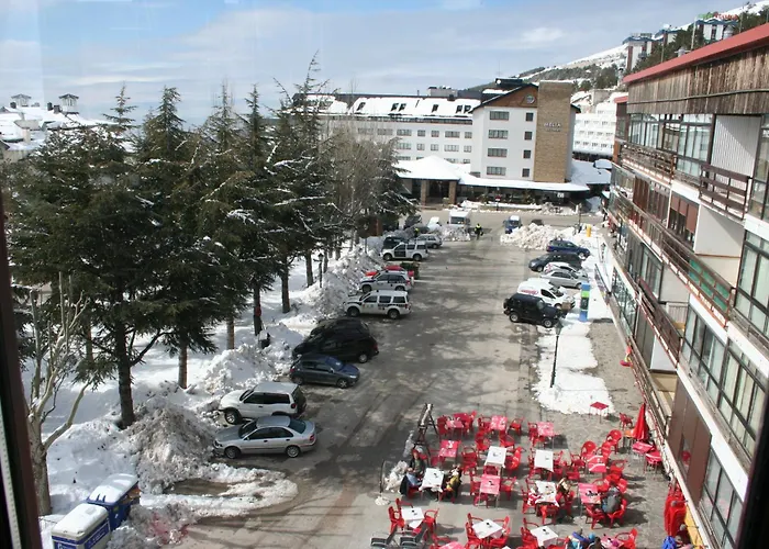 Sierra Nevada * シエラネバダ